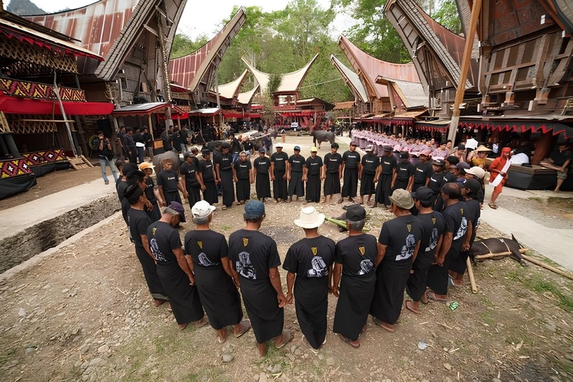 Jelajah Budaya & Tradisi Toraja