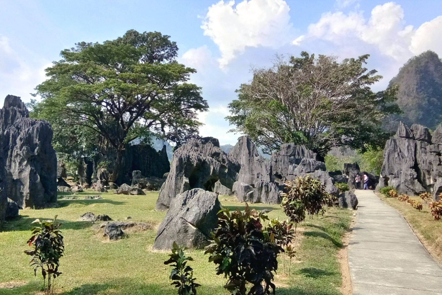 Galeri 1