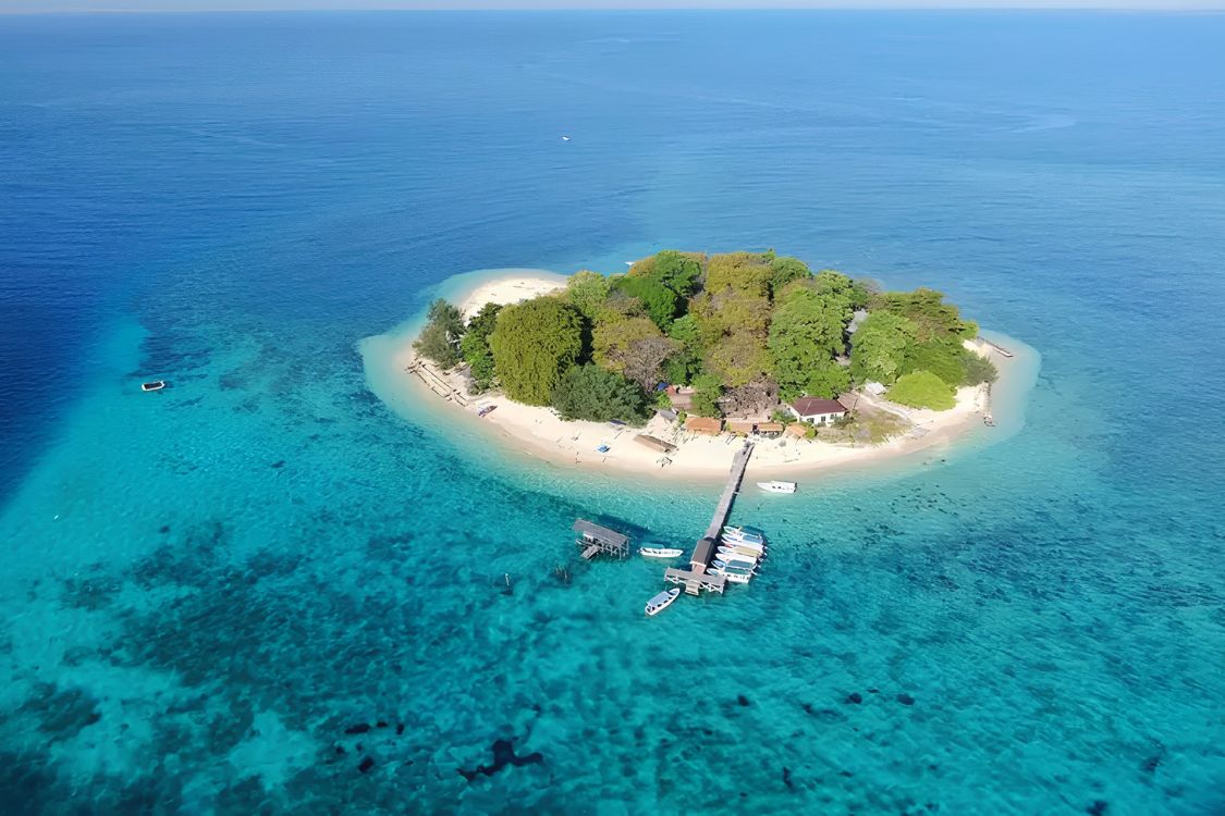 One Day Tour Pinisi - Pulau Samalona 1